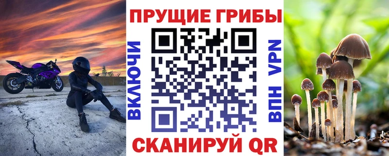 МЕГА ТОР  Ангарск  Псилоцибиновые грибы мицелий 